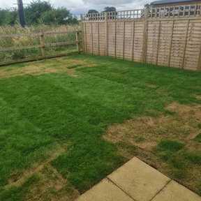 Builders Clean Cromer